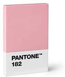 PANTONE - Eraser