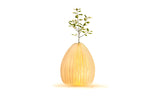 GINGKO - Smart Vase Light