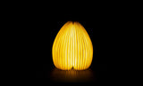 GINGKO - Smart Vase Light