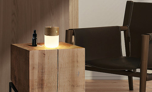 GINGKO - Smart Diffuser Lamp